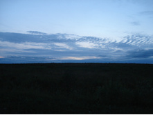 DSC01717