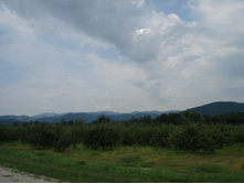 DSC01365
