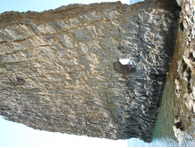 DSC01539