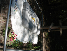 DSC01517