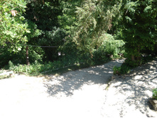 DSC01499