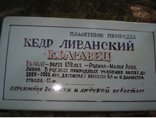 DSC01462
