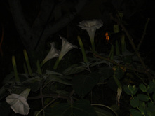 DSC01621