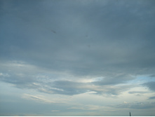 DSC01699