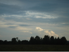 DSC01697