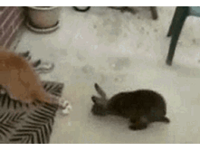 ������
