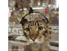 House Music