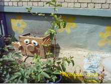 ST836073.JPG