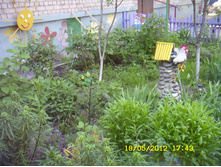 ST837662.JPG