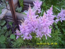 ST837769.JPG