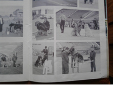 P041211_12.32_[01].jpg
