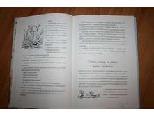 03labr9et1318845501.jpg