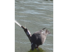 29.07.2010 12:06:56