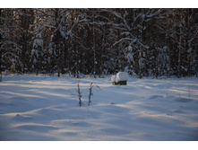 DSC_4874.JPG