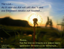 17.10.2008 14:25:56