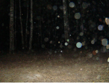 30.07.2010 7:25:54