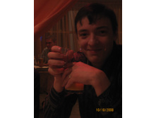 19.10.2008 8:57:43