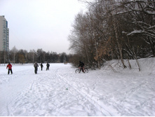 IMG_7359.JPG