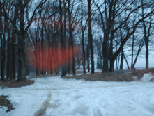 DSC_0023.jpg