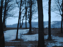 DSC_0025.jpg