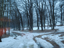DSC_0026.jpg