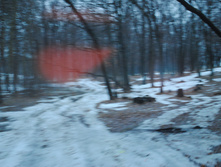 DSC_0027.jpg