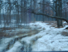 DSC_0028.jpg