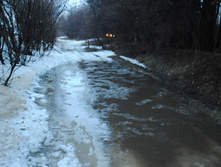 DSC_0032.jpg