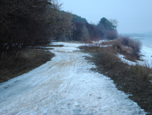 DSC_0040.jpg