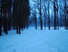 DSC_0049.jpg