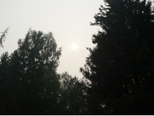 01.08.2010 19:45:04