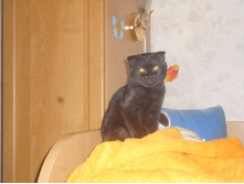 28.01.2013 13:32:26