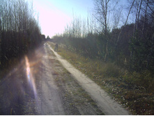 PICT0003.JPG