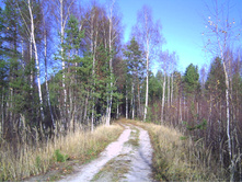 PICT0005.JPG