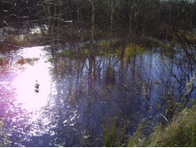 PICT0009.JPG