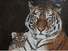 Tiger_2.jpg