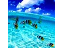 02.08.2010 1:08:06