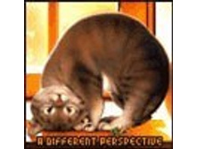 02.08.2010 1:08:21