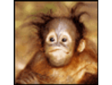 02.08.2010 1:08:51