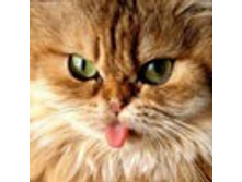 02.08.2010 1:09:02