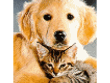 02.08.2010 1:09:33