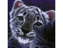 02.08.2010 1:11:38