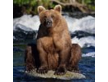 02.08.2010 1:11:45