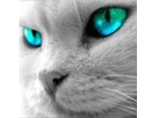 02.08.2010 1:12:25