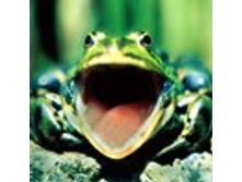 02.08.2010 1:12:33