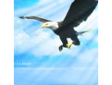 02.08.2010 1:13:08