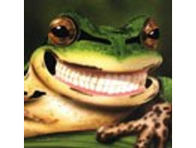 02.08.2010 1:13:24