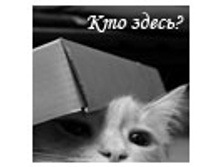 02.08.2010 1:13:31
