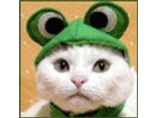 02.08.2010 1:13:33