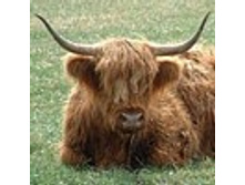 02.08.2010 1:13:52